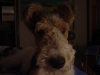 albempkgimenwzcammasco's Avatar