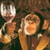 algoc's Avatar