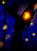 anamb1955's Avatar