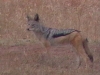 Chmispg's Avatar