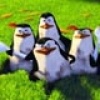 geivige977's Avatar