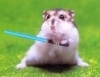 gugumllge's Avatar