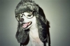 jaioxmes's Avatar