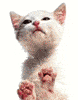 julve15's Avatar