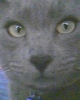luisesle1342's Avatar
