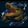 meivajo's Avatar