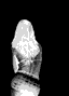 muiz2mm's Avatar
