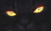 nele0122's Avatar