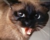 nina's Avatar