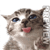 Olivemapkn82's Avatar