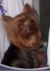 Oxmia's Avatar