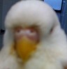 oxnuc19's Avatar