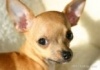Silvymila's Avatar