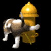 Yevel's Avatar